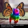 butterfly52