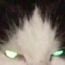 ALPSPHOENIX