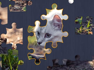 Jigsaw Puzzle 2 screenshot