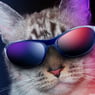 bogcat999