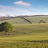 mlpe2000