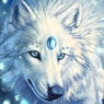 IndigoLion