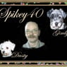 Spikey40