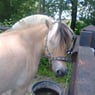 sparky0807
