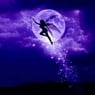 nightfairy