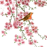 rili29