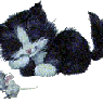 Cixi