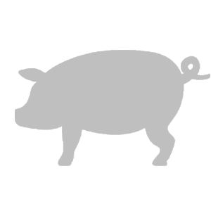 Jutlander