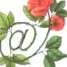anastacia