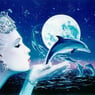 bluedolphin7