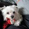 Daisy26