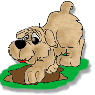doghouse