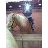 horselover