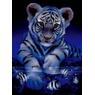 tigger94