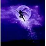 nightfairy