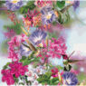 DHummingbird